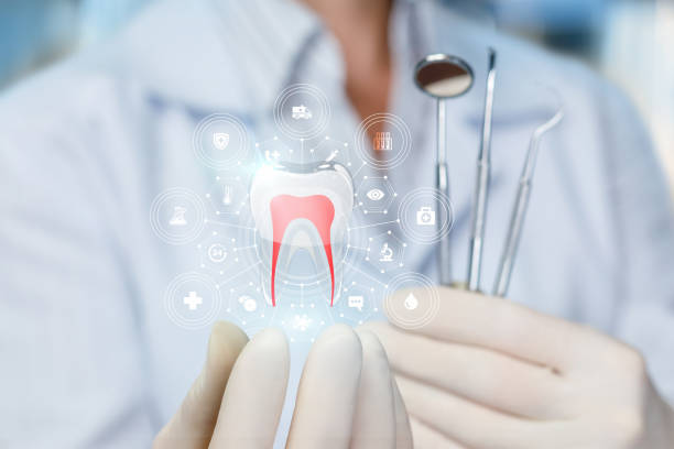 Professional Dental Services in Chicago Heights, IL